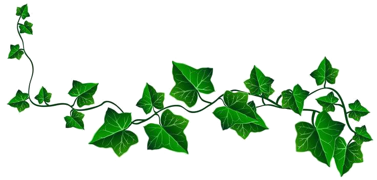 Decorative